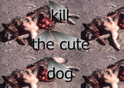 Kill The Cute Dog