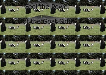 Goats Feel The Power (refresh)