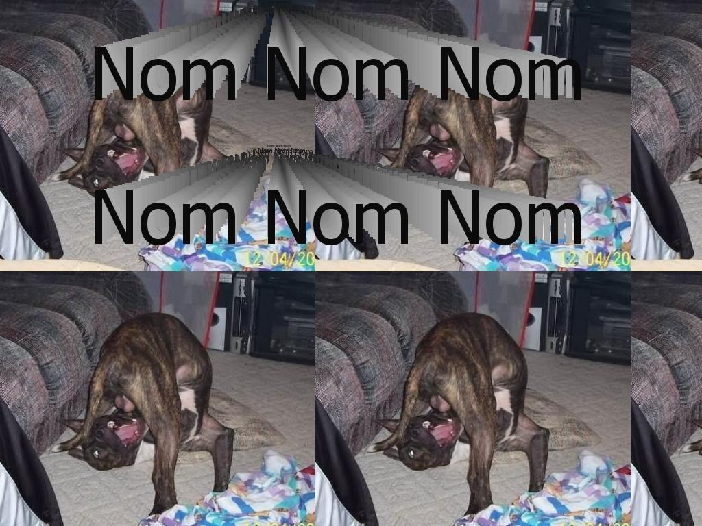 nomnomnomm