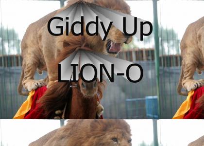 Giddy up LionO