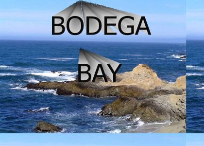 Bodega Bay