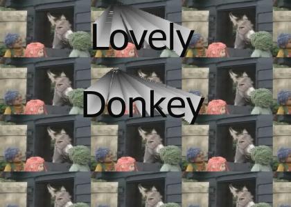 Lovely Donkey