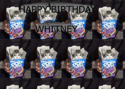 Happy Birthday Whitney