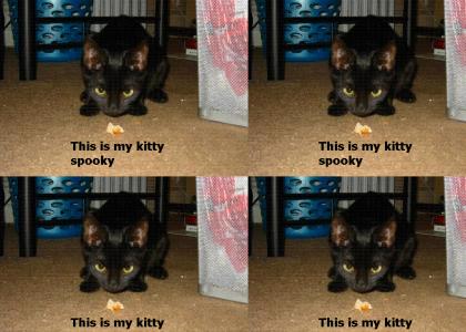 my cat spooky   (1 epic minute!)