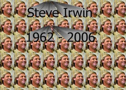 R.I.P. Steve Irwin