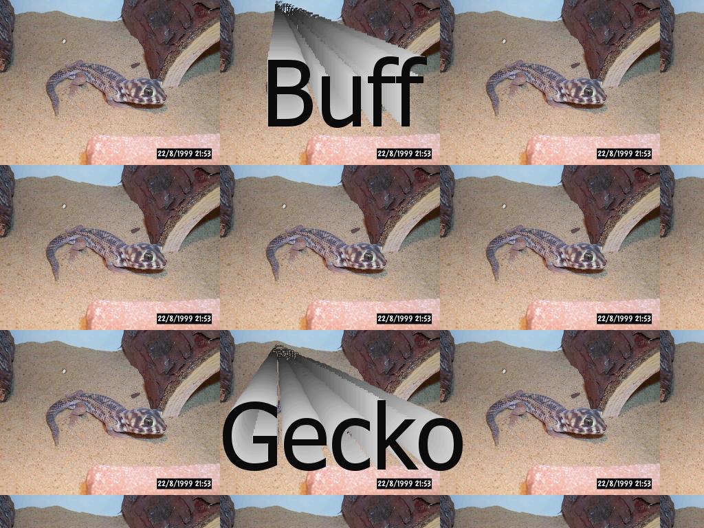 BuffGecko