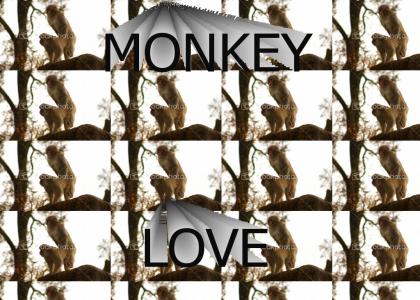 MONKEY LOVE