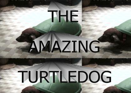 The Amazing Turtledog