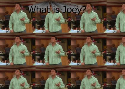 What is Joey?