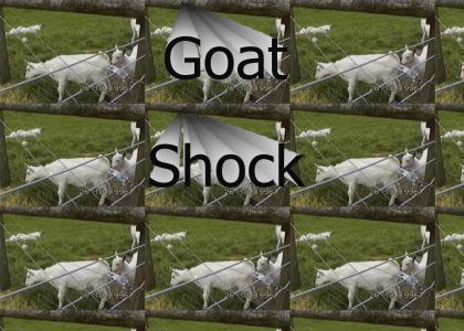 Goat Shock