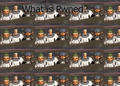 What Is Pwned?