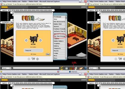 NEDM ON HABBO!