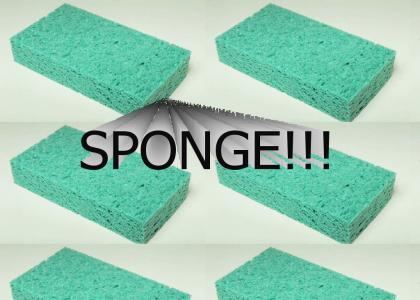 how to mess with someone who hates sponges