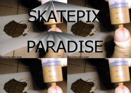 SKATEPIX PARADISE