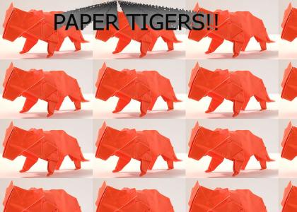 Paper Tigers