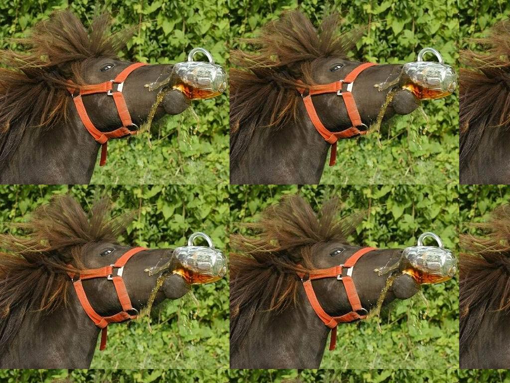 horsecrunked