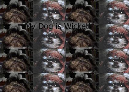 My dog is Wickett!