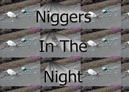 Niggers in the Night
