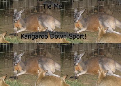 Tie Me Kangaroo Down Sport!