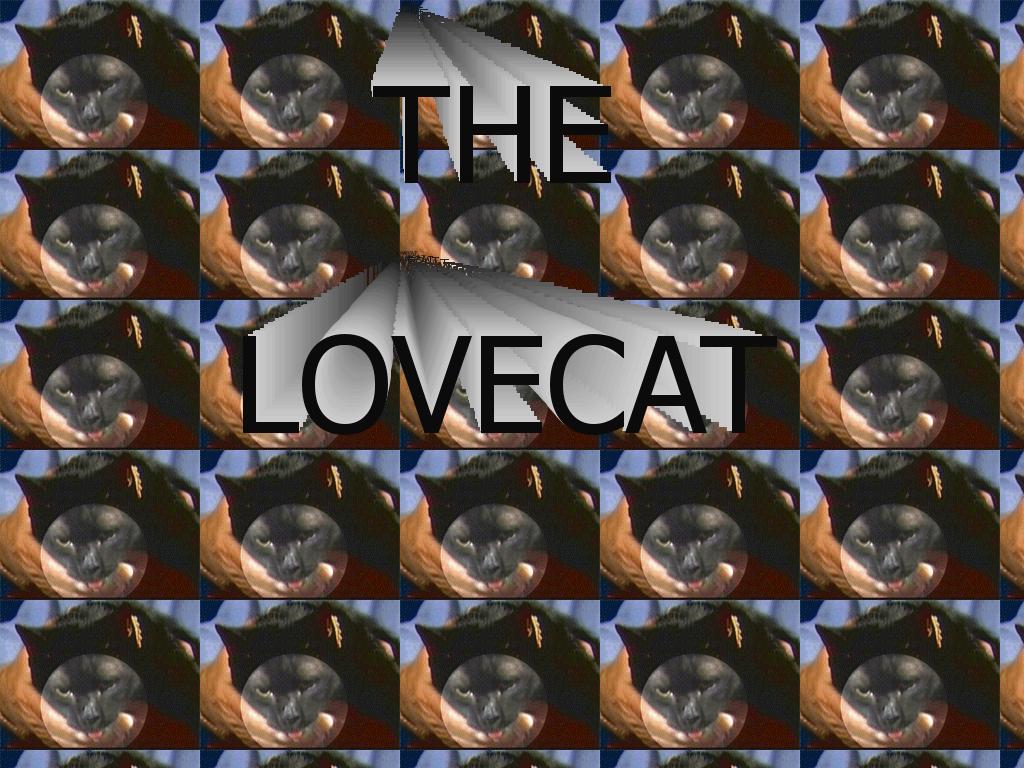 lovecat
