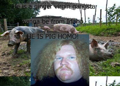 Pig-Homo
