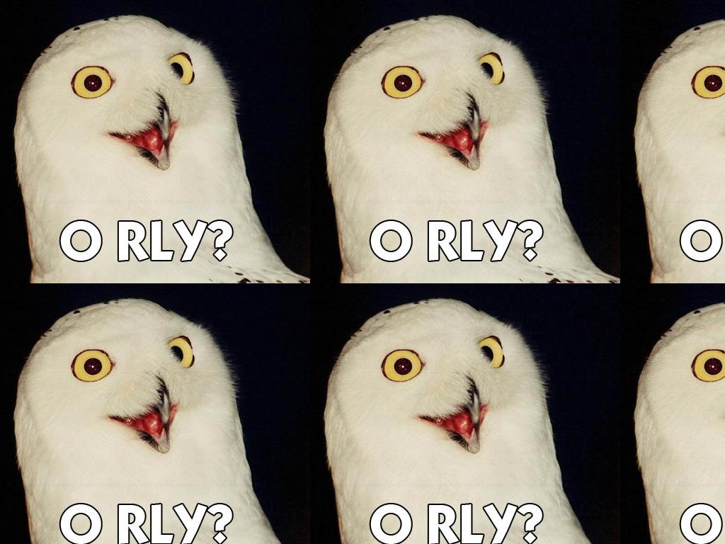 o-rly-owl