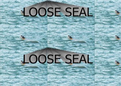 LOOSE SEAL