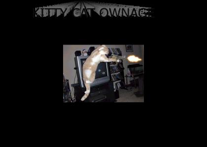 css kitty cat(edited)