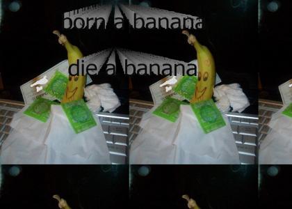 Banana's Day Off