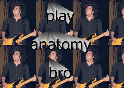 play anatomy bro