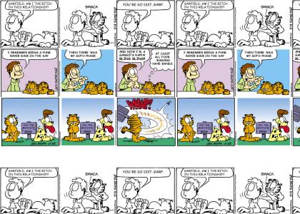 Garfield YTMND style vol.1