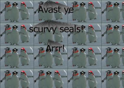 Avast ye scurvy seals!