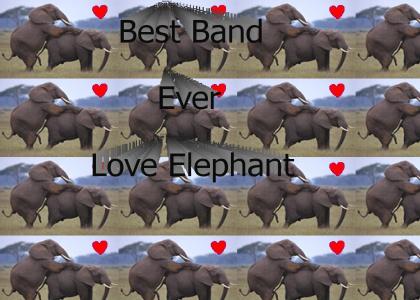 Love Elephant