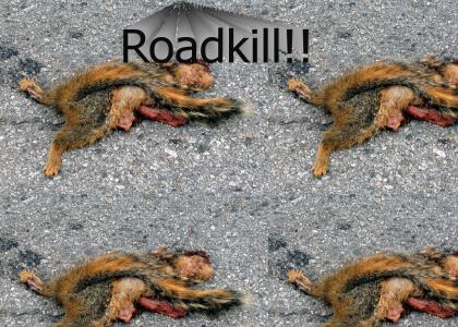 Why did the squirrel cross the road