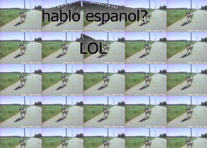 littlest hobo (spanish version)