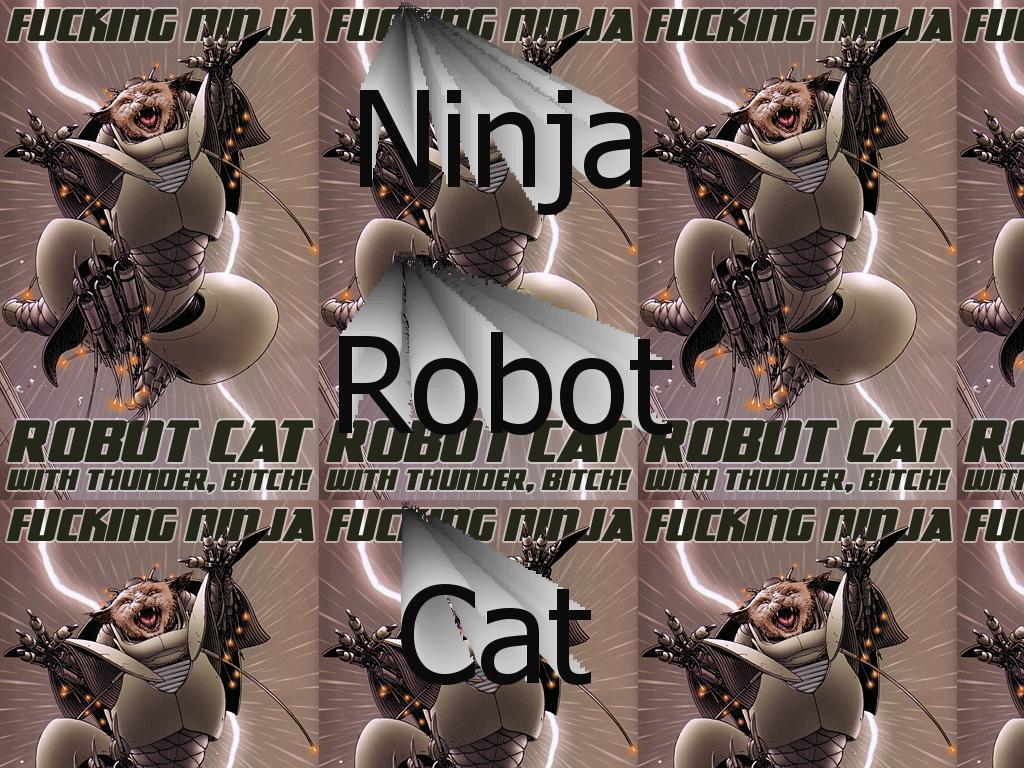 ninjarobotcat