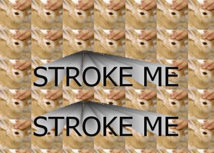 STROKE ME........