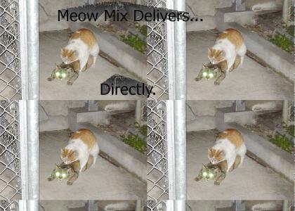Meow Mix gives you laser green eyes!