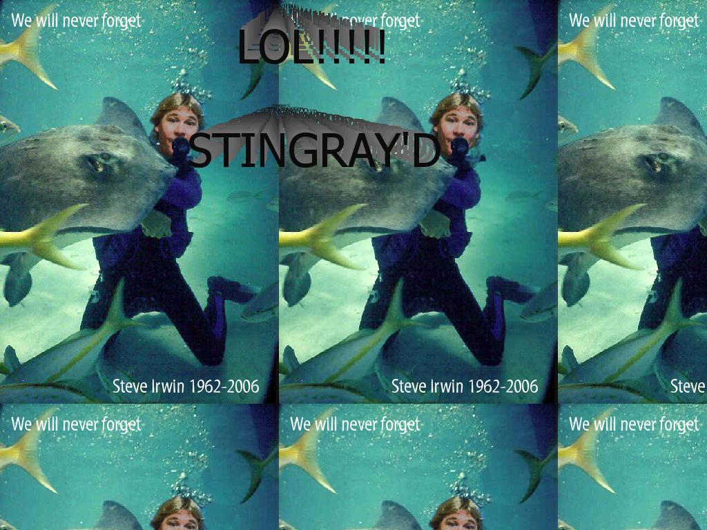 Stevegotstingrayd