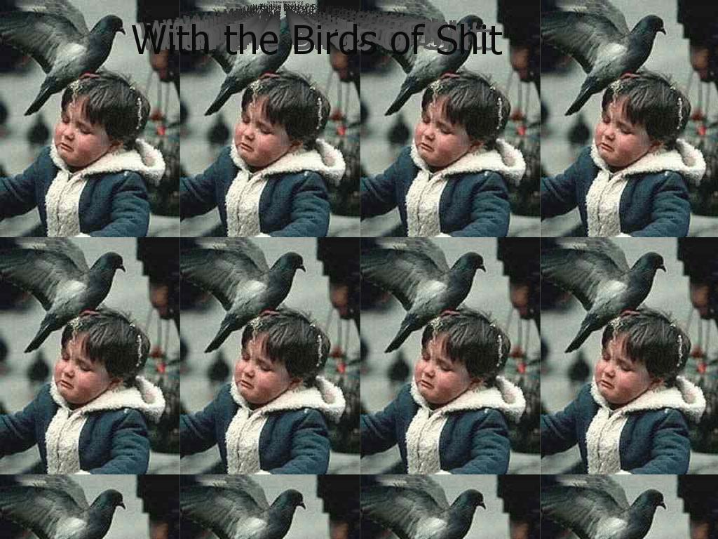 withthebirdsofsh1t