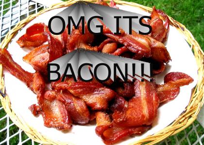 OMG ITS BACON!!!