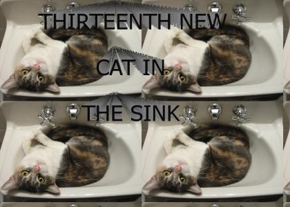 THIRTEENTH NEW CAT IN THE SINK