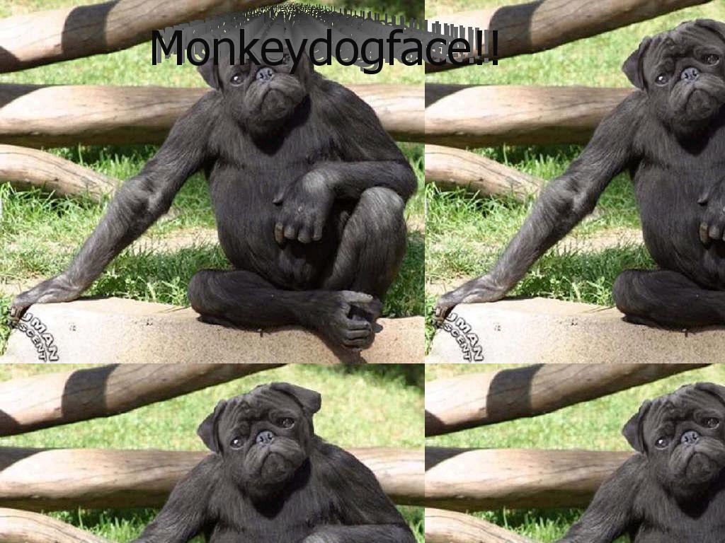monkeydogface