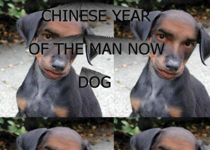 Chinese Year of the Man now Dog!