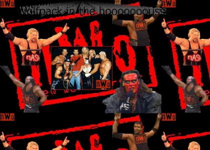 nWo wolfpack ytmnd