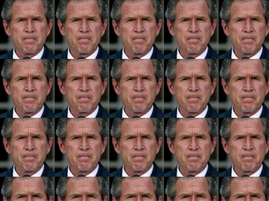 BushFacialExp