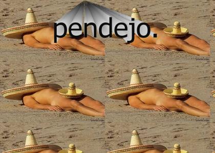 pendejo