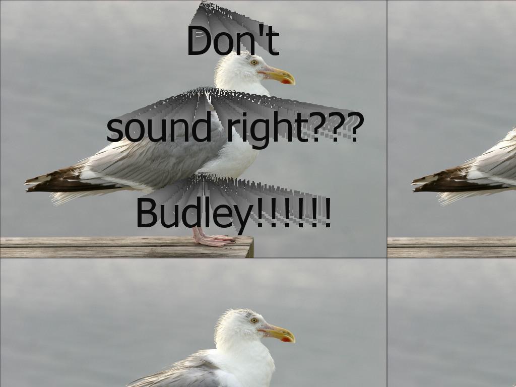 budleywrongsound