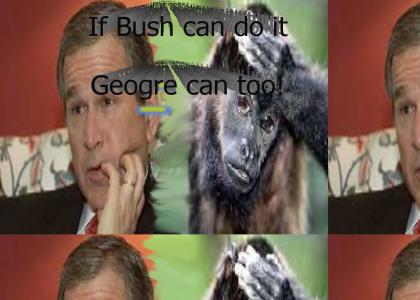 if bush can monkey can