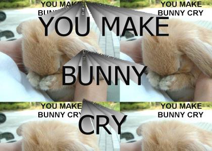 you make bunny cry!